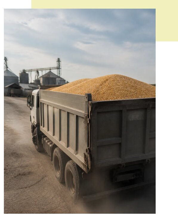 Перевозка сельхозпродукции навалом в Воскресенск по цене от 3101 р. | Агросервис-Вск