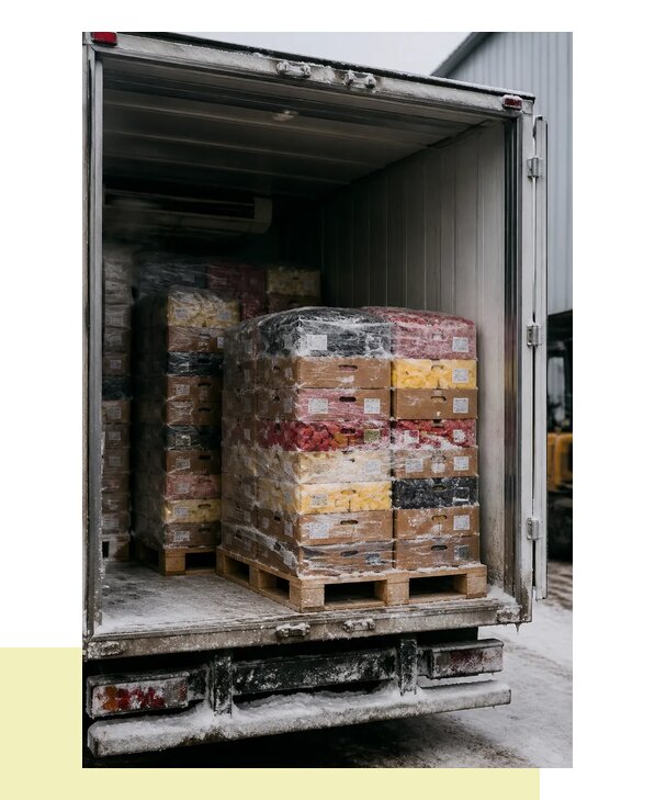 Перевозка замороженных фруктов и ягод в Воскресенск по России